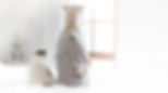 Dog and cat home alone