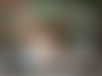 Crate Training Your Dog (Or Cat!)