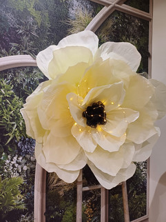 Expo - Les Compagnons du Thé