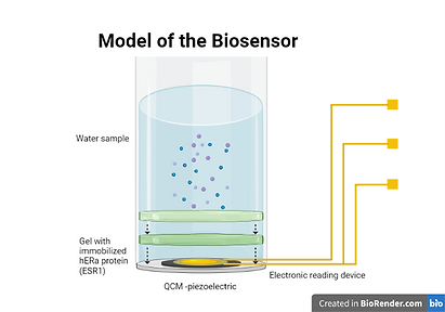 T--TecCEM--biosensor_model_1.png