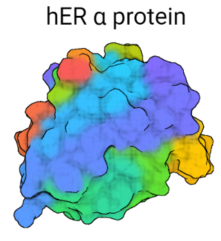 T--TecCEM--her_protein.png