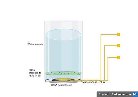 T--TecCEM--biosensormodel2.png