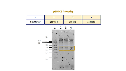 T--TecCEM--ResultsA8.png