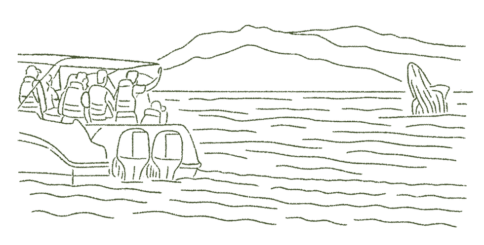 ILUSTRACION WEB VERDE-44.png