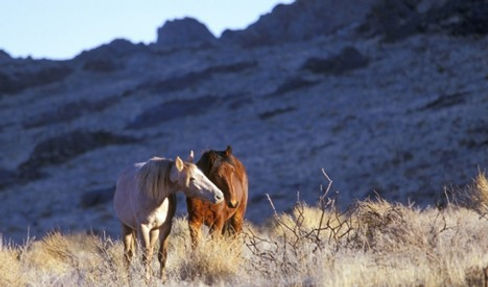 John Steele - Picture1.jpg