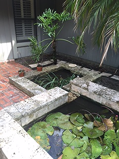 Koi Pond