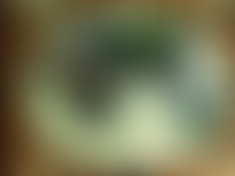 A Lost Heir's Journey Home