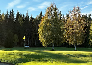 15 hål.jpg