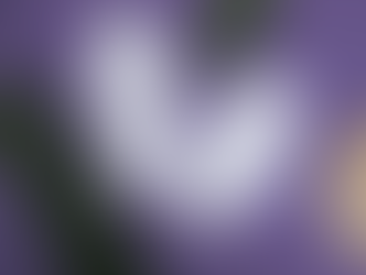 Pioneers Creating 100% Biodegradable Pads from Banana Fiber.