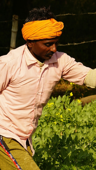 From Soil to Scale: How Investors Are Backing Regenerative Farming in India. 