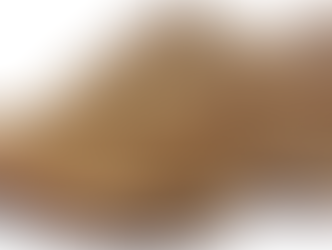 Beyond the Metros: How Kanpur’s Red Chief Shoe Brand Captured India.