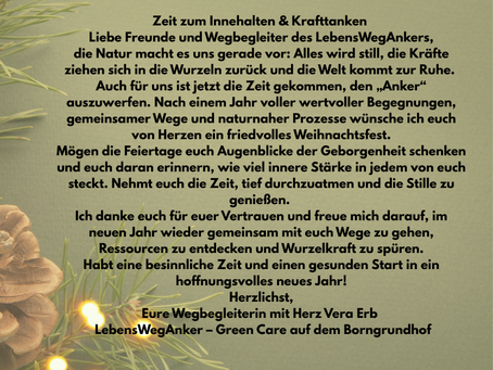 Zeit zum Innehalten & Krafttanken