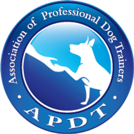 APDT Logo HiRes.png.webp