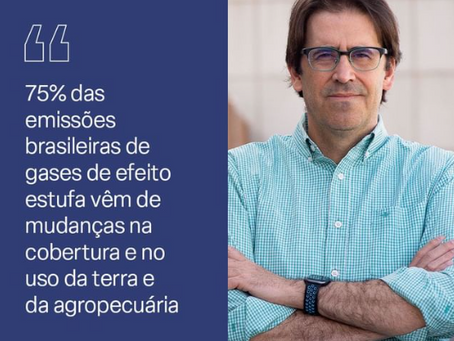 As fronteiras do desmatamento