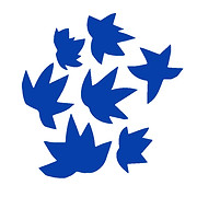Logo de Celler Castelló Murphy