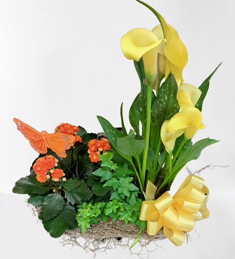 Double Plant Basket