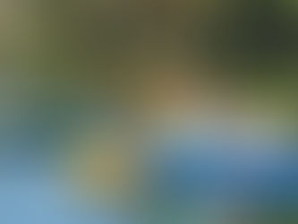 three people using adaptive kayaking gear paddling on a calm lake