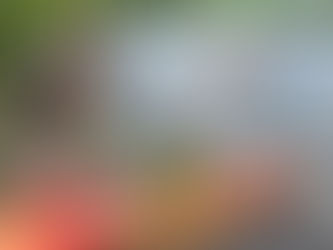 The Adaptive Kayaking Consultation: A Critical First Step  