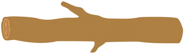 Untitled design (15).png
