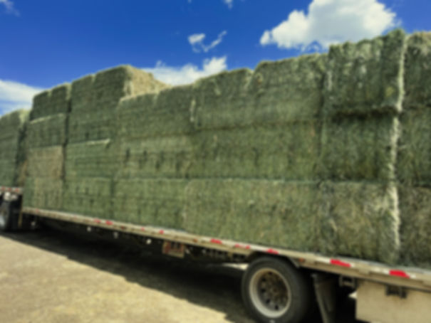 3x3x8 Alfalfa DELIVERED