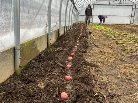 April Snow Showers Bring CSA Sign-Ups