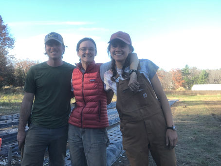 Garlic Planted and CSA Feedback