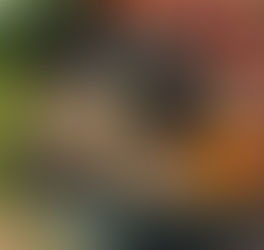 Fall CSA Week 3: Chicken Scratches