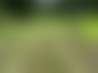 CSA Week 7: The Rains Keep Coming