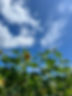 7E6106D3-F22F-4F81-978D-62219C06B8FA_1_105_c.jpeg