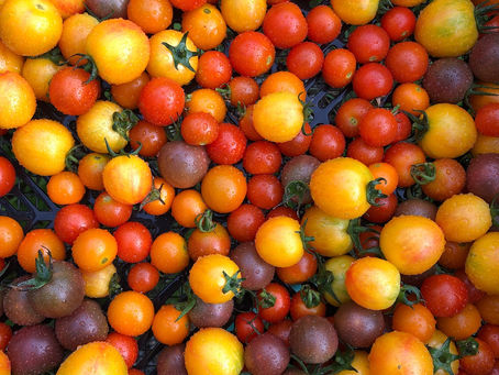 Join us! CSA Signups Due March 1st