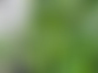 CSA Week 9: Welcome Back!