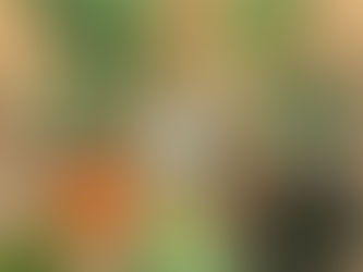 CSA Week 2: Let There Be Greens!