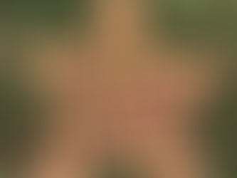 Please Fill Out Our CSA Survey!