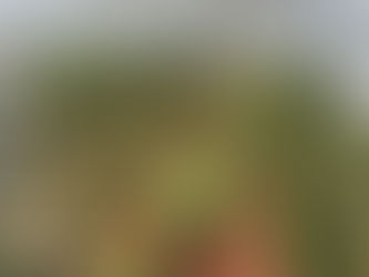 CSA Week 3: Rapid Growth