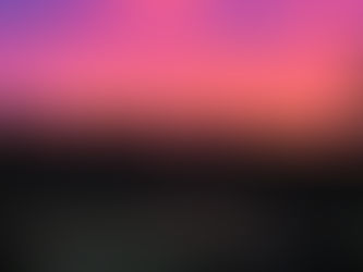 CSA Week 15: Fall Flavors