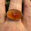 Thumbnail: Gold Ring with a Cameo of a Dolphin. Cameo, 16th century; modern gold ring mount