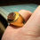 Thumbnail: Gold Ring Set with an Ancient Carnelian Scarab Depicting a Deer Hunt.