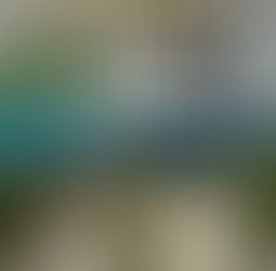 เปรียบเทียบข้อดีข้อเสีย หลังคากันสาด เมทัลชีท ไวนิล ไฟเบอร์กลาส และ โพลี่คาบอนเนต