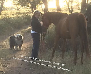 king even en monique_edited.jpg