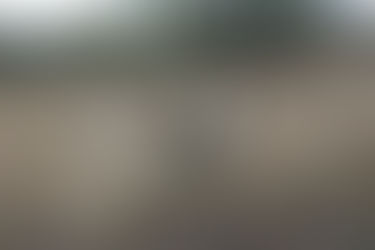 Bas, de jonge hond die hier aan kwam lopen.