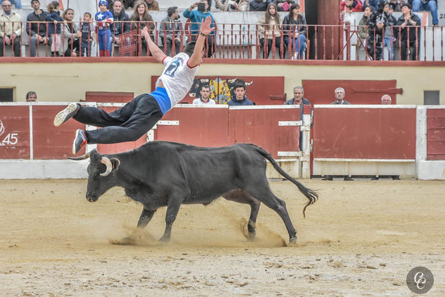 Destaque - Montijo Carnaval Taurino no dia 25 de Fevereiro