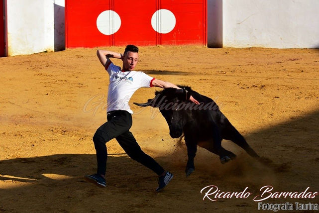 Destaque - Mourão Carnaval Taurino no dia 26 de Fevereiro