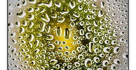 Water Drops
