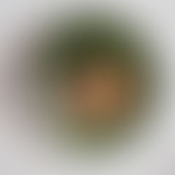 Pieczony łosoś z rukolą i komosą – szybki, zdrowy obiad w 15 minut. Sprawdź przepis.