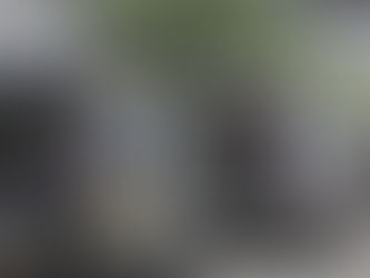 India: a nation in crisis