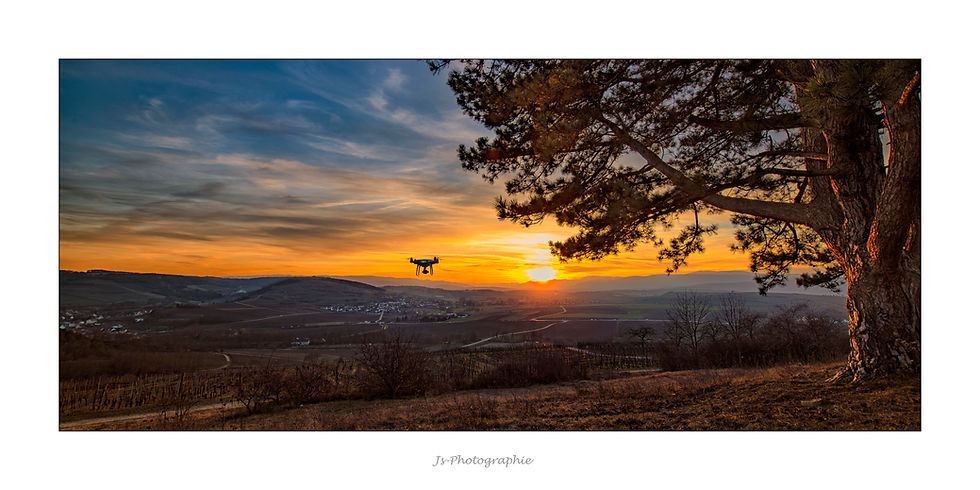 scharrach 1988-modif