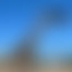 La Jirafa Benito cumplió su segundo año en Puebla y así lo recordó Africam Safari 