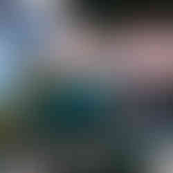 Foro Navideño 360° Banda MS