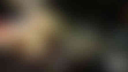 Festival Navideño Fuertes de Loreto