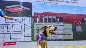 Más de 3 mil michis y lomitos tendrán refugio en el nuevo centro de bienestar animal de Puebla, el más grande del país